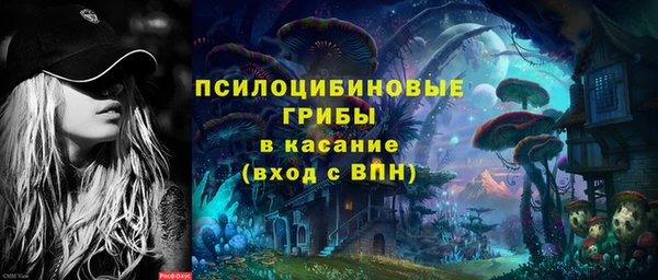 гидропоника Няндома