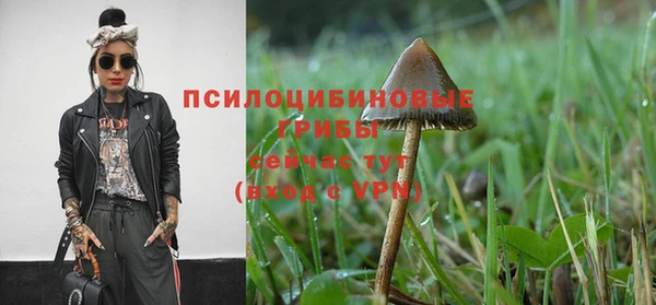 соль курить ск Нягань