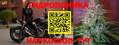 PSILOCYBIN Баксан
