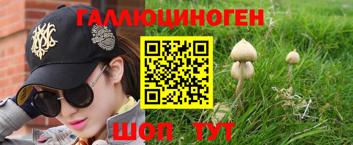 Галлюциногенные грибы мухоморы Саки