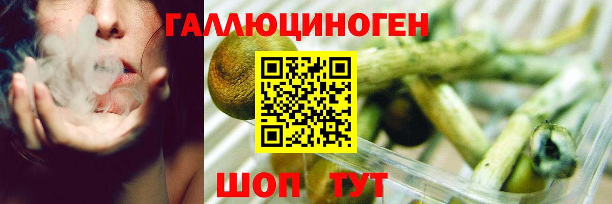 Псилоцибиновые грибы Psilocybine cubensis  Вход с VPN  Саки 